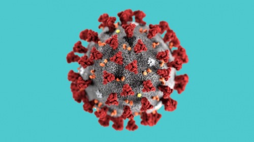 Schutz vor Übertragung des Coronavirus